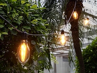 1 lichtsnoer papaya 10m 10 grote lampen - extra warm wit - afbeelding 8 van  9