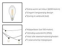 1 lichtsnoer papaya 10m 10 kleine lampen - extra warm wit - afbeelding 4 van  9