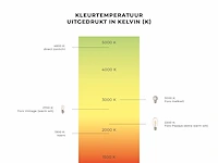 1 lichtsnoer papaya 10m 10 kleine lampen - extra warm wit - afbeelding 5 van  9