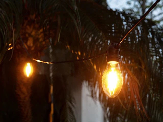 1 lichtsnoer papaya 10m 10 kleine lampen - extra warm wit - afbeelding 6 van  9