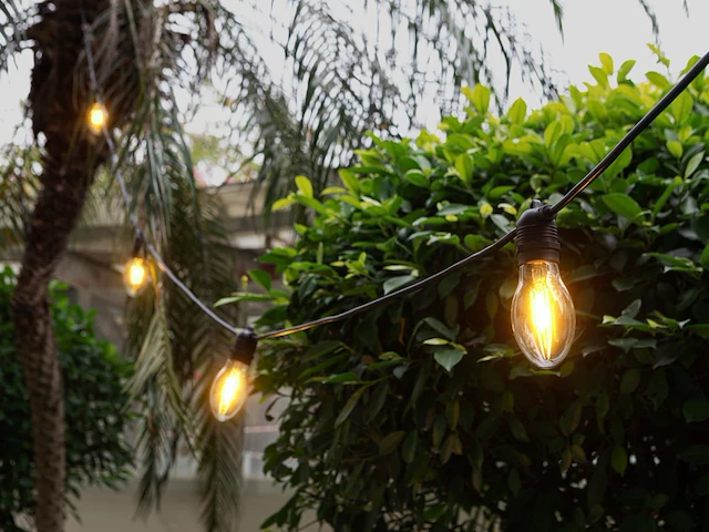 1 lichtsnoer papaya 10m 10 kleine lampen - extra warm wit - afbeelding 7 van  9