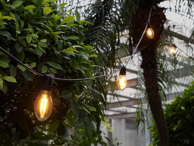 1 lichtsnoer papaya 10m 10 kleine lampen - extra warm wit - afbeelding 8 van  9