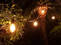 1 lichtsnoer papaya 10m 10 kleine lampen - extra warm wit - afbeelding 9 van  9