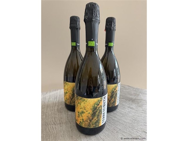 1 lot van 3 flessen terre dei buth prosecco doc brut - afbeelding 1 van  1