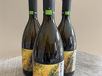 1 lot van 3 flessen terre dei buth prosecco doc brut - afbeelding 1 van  1