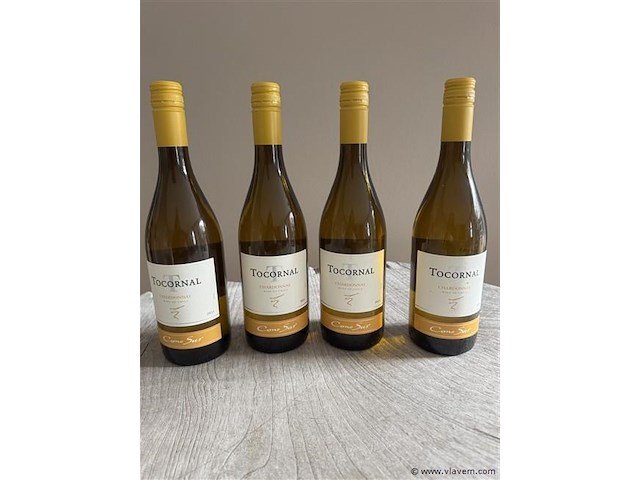 1 lot van 4 flessen tocornal chardonnay chile - afbeelding 1 van  1