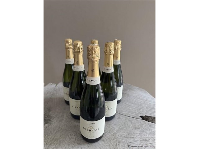 1 lot van 6 flessen dignitat cava - afbeelding 1 van  1