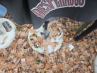 1 parasol getekend "desperados" - afbeelding 4 van  4