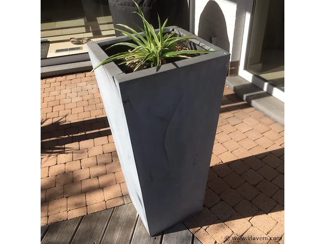 1 plant + 1 pot - afbeelding 1 van  1