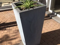 1 plant + 1 pot - afbeelding 1 van  1