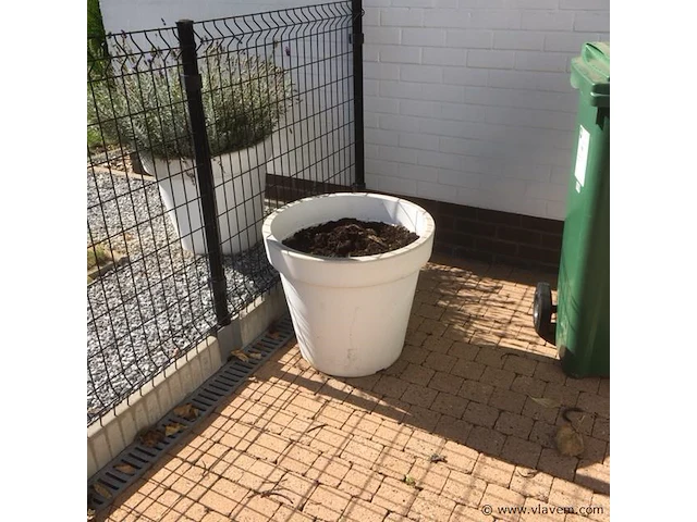 1 plant + 1 pot - afbeelding 1 van  1