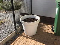 1 plant + 1 pot - afbeelding 1 van  1