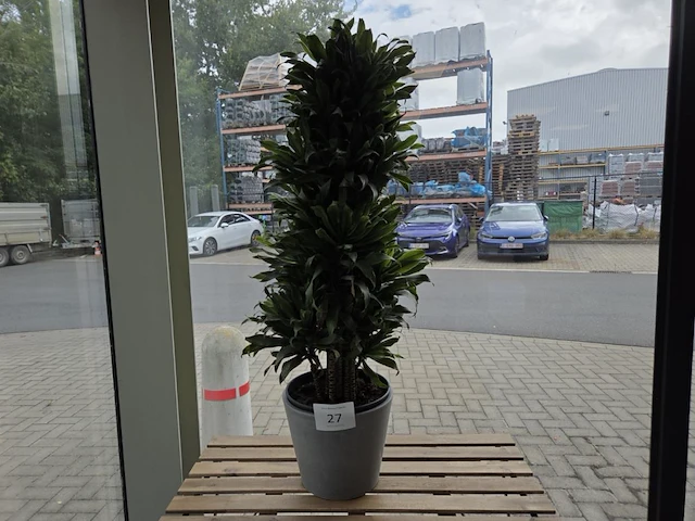 1 pot met plant - afbeelding 1 van  3