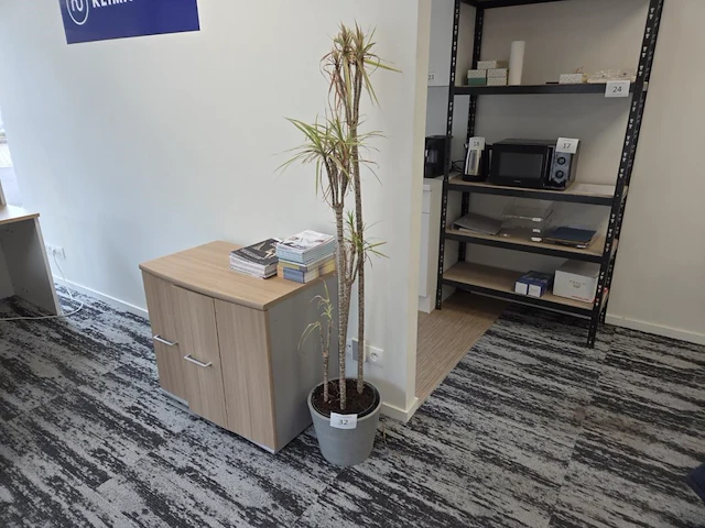 1 pot met plant - afbeelding 1 van  2
