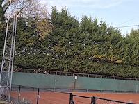 1 prikkabel met lichtbulbs - afbeelding 7 van  7