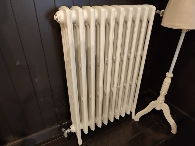 1 radiator laurens biaxo 4 - afbeelding 1 van  4