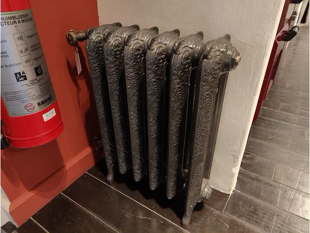 1 radiator laurens fleunelle - afbeelding 1 van  4