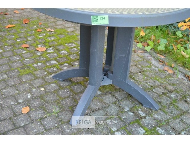 1 ronden tuin tafel ø 96 - afbeelding 2 van  3