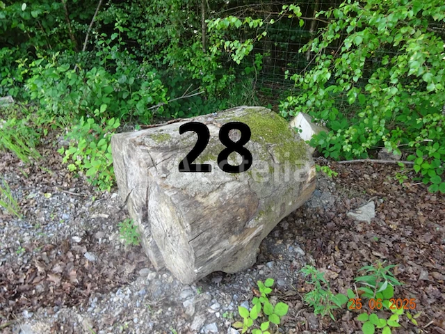 1 set bomen valt over een lengte van +/- 12m op diam. +/- 90cm (alleen ter informatie) - afbeelding 2 van  7