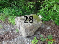 1 set bomen valt over een lengte van +/- 12m op diam. +/- 90cm (alleen ter informatie) - afbeelding 2 van  7