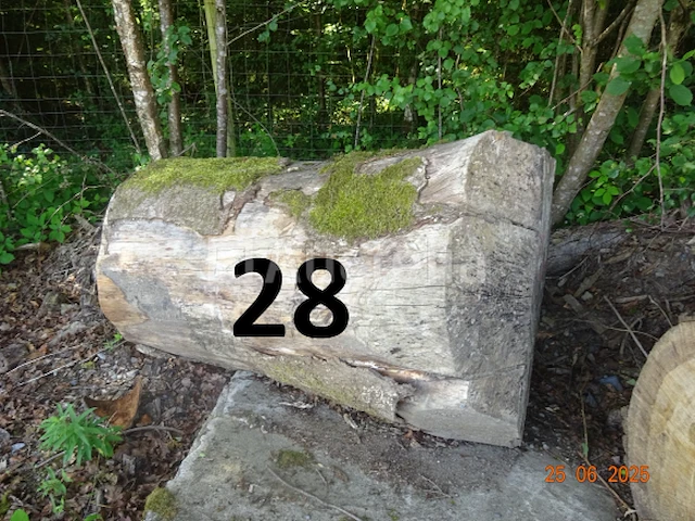 1 set bomen valt over een lengte van +/- 12m op diam. +/- 90cm (alleen ter informatie) - afbeelding 3 van  7