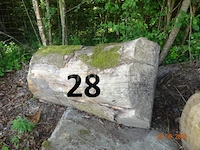 1 set bomen valt over een lengte van +/- 12m op diam. +/- 90cm (alleen ter informatie) - afbeelding 3 van  7