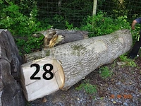 1 set bomen valt over een lengte van +/- 12m op diam. +/- 90cm (alleen ter informatie) - afbeelding 5 van  7
