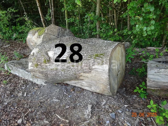 1 set bomen valt over een lengte van +/- 12m op diam. +/- 90cm (alleen ter informatie) - afbeelding 6 van  7