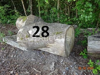1 set bomen valt over een lengte van +/- 12m op diam. +/- 90cm (alleen ter informatie) - afbeelding 6 van  7