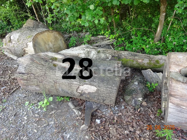 1 set bomen valt over een lengte van +/- 12m op diam. +/- 90cm (alleen ter informatie) - afbeelding 7 van  7