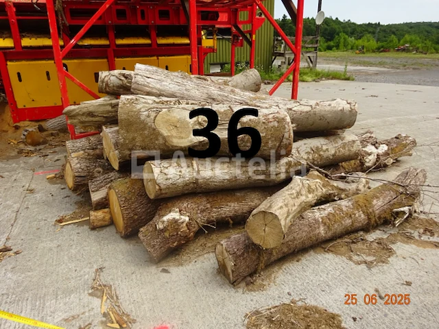 1 set van +/- 20 boomstammen +/- 2m20 lang/diam. 40cm + de 4 stuks op de machine - afbeelding 1 van  6
