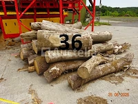 1 set van +/- 20 boomstammen +/- 2m20 lang/diam. 40cm + de 4 stuks op de machine - afbeelding 1 van  6