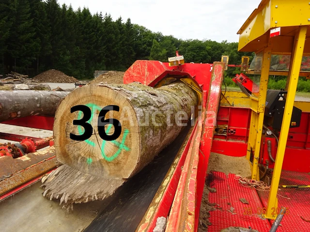 1 set van +/- 20 boomstammen +/- 2m20 lang/diam. 40cm + de 4 stuks op de machine - afbeelding 2 van  6