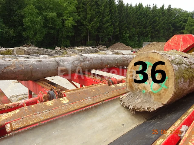 1 set van +/- 20 boomstammen +/- 2m20 lang/diam. 40cm + de 4 stuks op de machine - afbeelding 4 van  6
