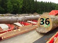 1 set van +/- 20 boomstammen +/- 2m20 lang/diam. 40cm + de 4 stuks op de machine - afbeelding 4 van  6