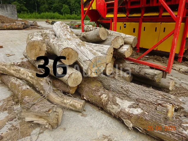 1 set van +/- 20 boomstammen +/- 2m20 lang/diam. 40cm + de 4 stuks op de machine - afbeelding 6 van  6