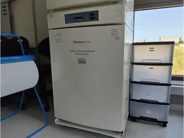 1 verrijdbare incubator thermo forma model series 2 3310 np: € 10000 - afbeelding 1 van  6