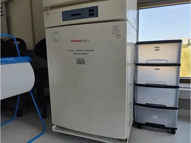 1 verrijdbare incubator thermo forma model series 2 3310 np: € 10000 - afbeelding 2 van  6