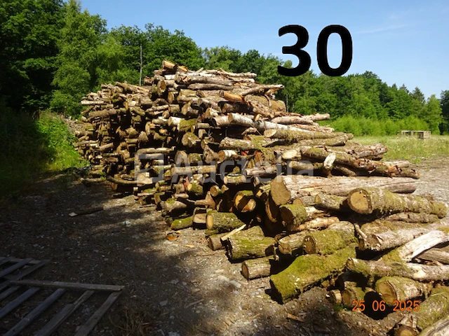 1 voorraad hout over een lengte van +/- 11m bij een hoogte van 2m50 - afbeelding 1 van  3
