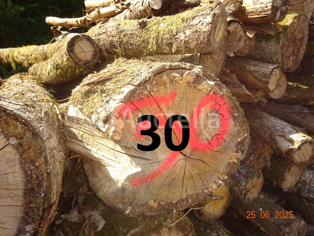 1 voorraad hout over een lengte van +/- 11m bij een hoogte van 2m50 - afbeelding 2 van  3