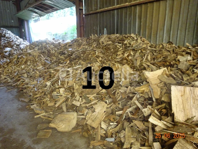 1 voorraad hout over een lengte van +/- 25m lang, schatting +/- 60m²³, ter indicatie gegeven - afbeelding 6 van  8