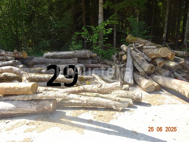 1 voorraad hout voor brandhout gelegen op de binnenplaats, over een lengte van +/- 50m inclusief een voorraad hout van alle soorten, diverse zaden waaronder een voorraad van +/- 25 bomen van 15m lang (alles voor informatiedoeleinden). ter plaatse te realiseren - afbeelding 2 van  14
