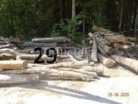 1 voorraad hout voor brandhout gelegen op de binnenplaats, over een lengte van +/- 50m inclusief een voorraad hout van alle soorten, diverse zaden waaronder een voorraad van +/- 25 bomen van 15m lang (alles voor informatiedoeleinden). ter plaatse te realiseren - afbeelding 2 van  14