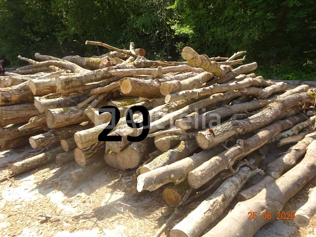 1 voorraad hout voor brandhout gelegen op de binnenplaats, over een lengte van +/- 50m inclusief een voorraad hout van alle soorten, diverse zaden waaronder een voorraad van +/- 25 bomen van 15m lang (alles voor informatiedoeleinden). ter plaatse te realiseren - afbeelding 4 van  14