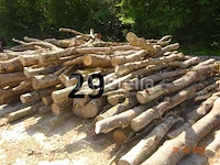 1 voorraad hout voor brandhout gelegen op de binnenplaats, over een lengte van +/- 50m inclusief een voorraad hout van alle soorten, diverse zaden waaronder een voorraad van +/- 25 bomen van 15m lang (alles voor informatiedoeleinden). ter plaatse te realiseren - afbeelding 4 van  14