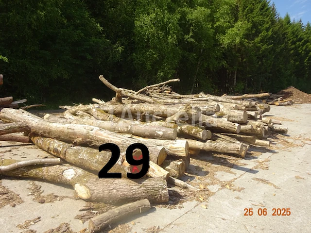1 voorraad hout voor brandhout gelegen op de binnenplaats, over een lengte van +/- 50m inclusief een voorraad hout van alle soorten, diverse zaden waaronder een voorraad van +/- 25 bomen van 15m lang (alles voor informatiedoeleinden). ter plaatse te realiseren - afbeelding 5 van  14