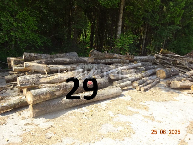 1 voorraad hout voor brandhout gelegen op de binnenplaats, over een lengte van +/- 50m inclusief een voorraad hout van alle soorten, diverse zaden waaronder een voorraad van +/- 25 bomen van 15m lang (alles voor informatiedoeleinden). ter plaatse te realiseren - afbeelding 6 van  14