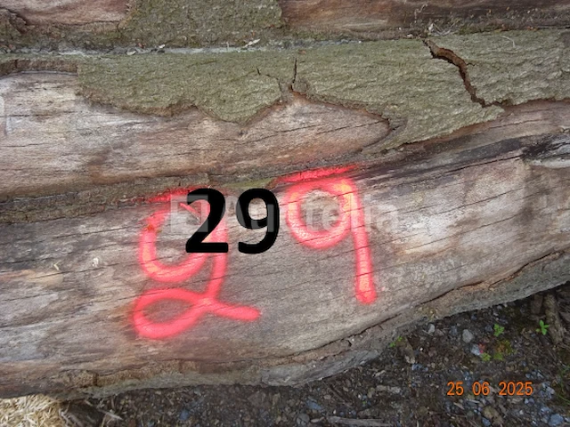 1 voorraad hout voor brandhout gelegen op de binnenplaats, over een lengte van +/- 50m inclusief een voorraad hout van alle soorten, diverse zaden waaronder een voorraad van +/- 25 bomen van 15m lang (alles voor informatiedoeleinden). ter plaatse te realiseren - afbeelding 1 van  14