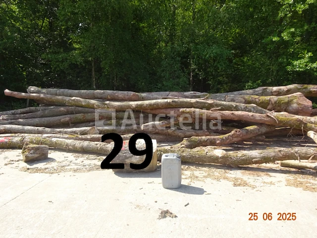 1 voorraad hout voor brandhout gelegen op de binnenplaats, over een lengte van +/- 50m inclusief een voorraad hout van alle soorten, diverse zaden waaronder een voorraad van +/- 25 bomen van 15m lang (alles voor informatiedoeleinden). ter plaatse te realiseren - afbeelding 9 van  14