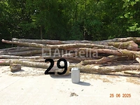 1 voorraad hout voor brandhout gelegen op de binnenplaats, over een lengte van +/- 50m inclusief een voorraad hout van alle soorten, diverse zaden waaronder een voorraad van +/- 25 bomen van 15m lang (alles voor informatiedoeleinden). ter plaatse te realiseren - afbeelding 9 van  14
